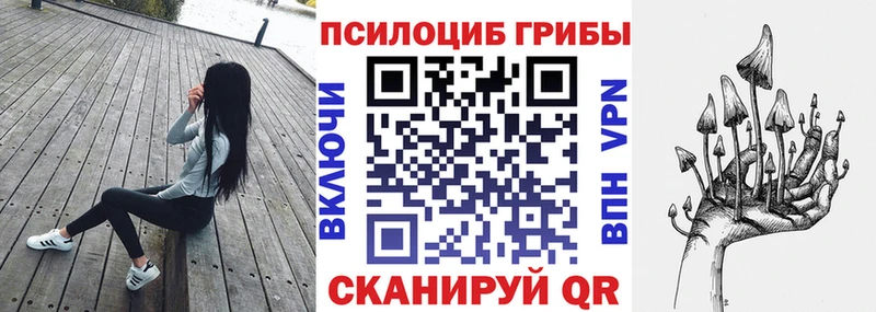купить  цена  Чулым  Псилоцибиновые грибы ЛСД 